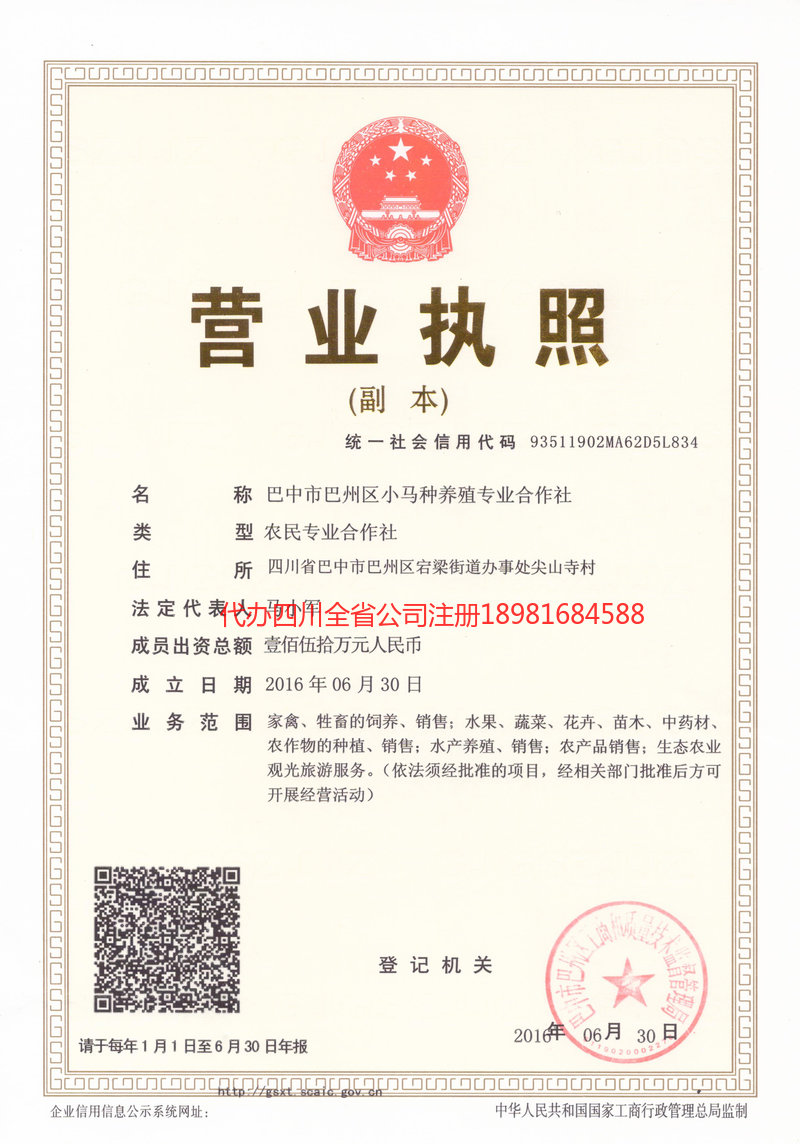 阳春阳春小马种养殖专业合作社